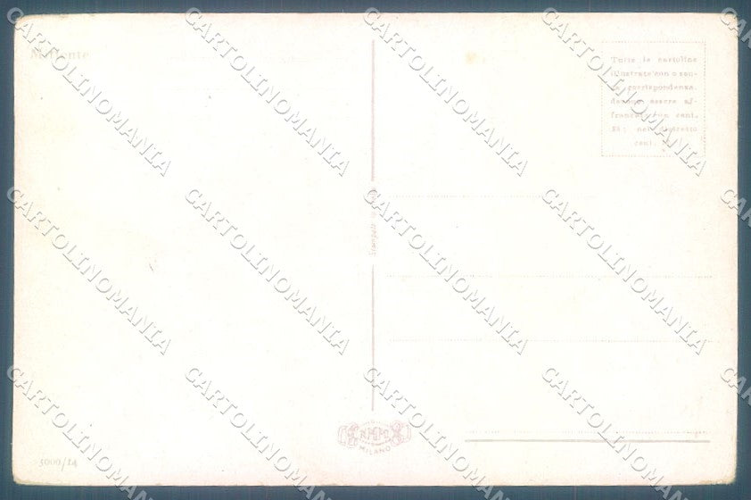 Animals Dog Samoiedo NMM serie 3000-14 Duka cartolina postcard TW1046 – retro