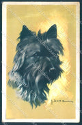 Animals Dog Schnauzer NMM serie 3000-5 Duka cartolina postcard TW1047 – fronte