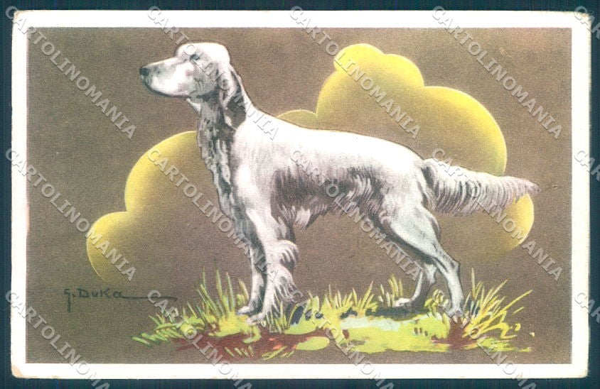 Animals Dog Setter NMM serie 3000-8 Duka cartolina postcard TW1050 – fronte
