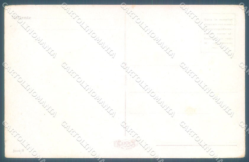 Animals Dog Setter NMM serie 3000-8 Duka cartolina postcard TW1050 – retro