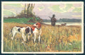 Animals Metlicovitz Pointer Dog Hunting Degami cartolina postcard TW1054 – fronte