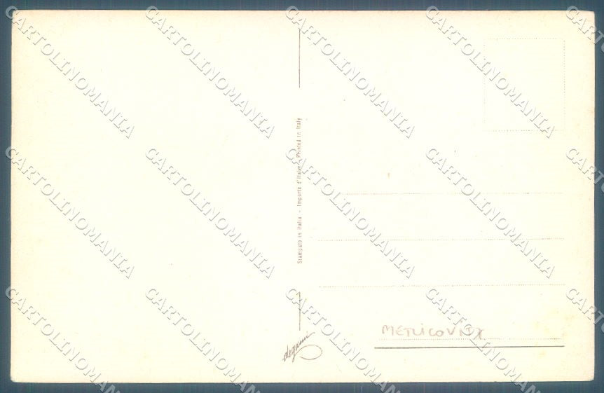 Animals Metlicovitz Pointer Dog Hunting Degami cartolina postcard TW1054 – retro