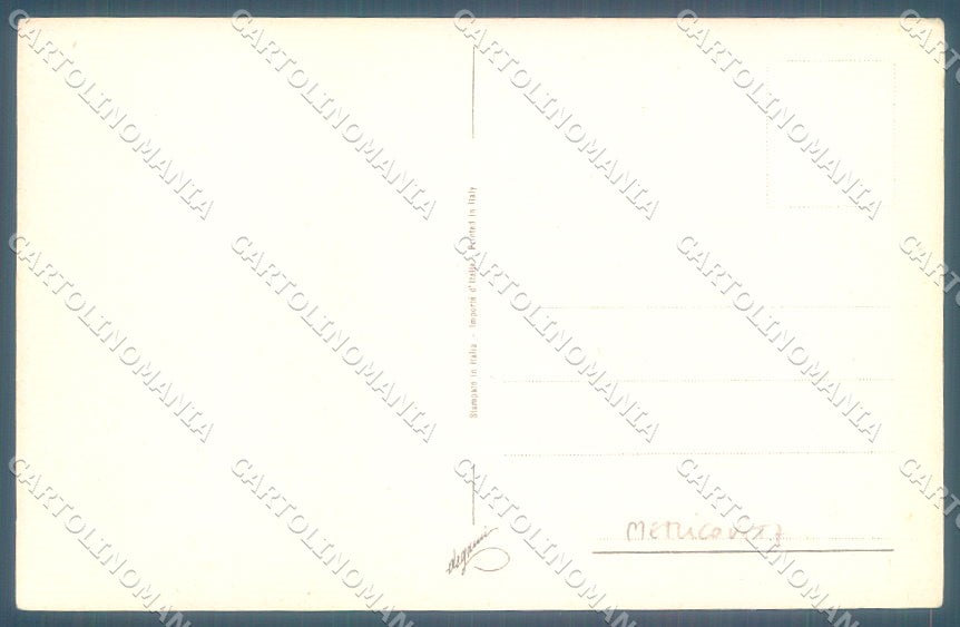Animals Metlicovitz Pointer Dog Hunting Degami cartolina postcard TW1056 – retro