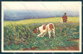 Animals Metlicovitz Pointer Dog Hunting Degami cartolina postcard TW1057 – fronte