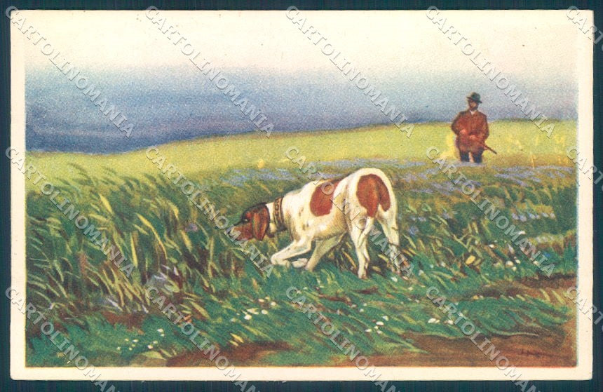 Animals Metlicovitz Pointer Dog Hunting Degami cartolina postcard TW1057 – fronte