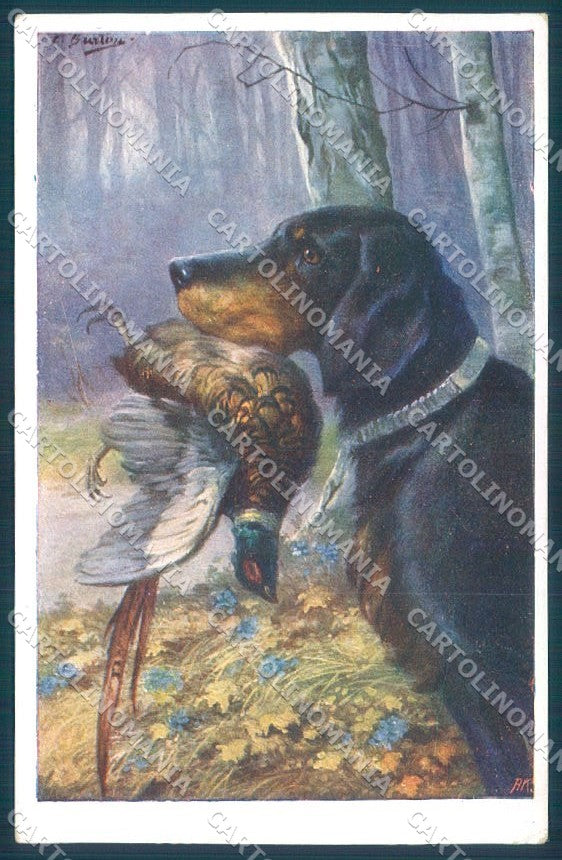 Animals Burton Austrian Hound Dog Pheasant BKWI 859-2 cartolina postcard TW1067 – fronte