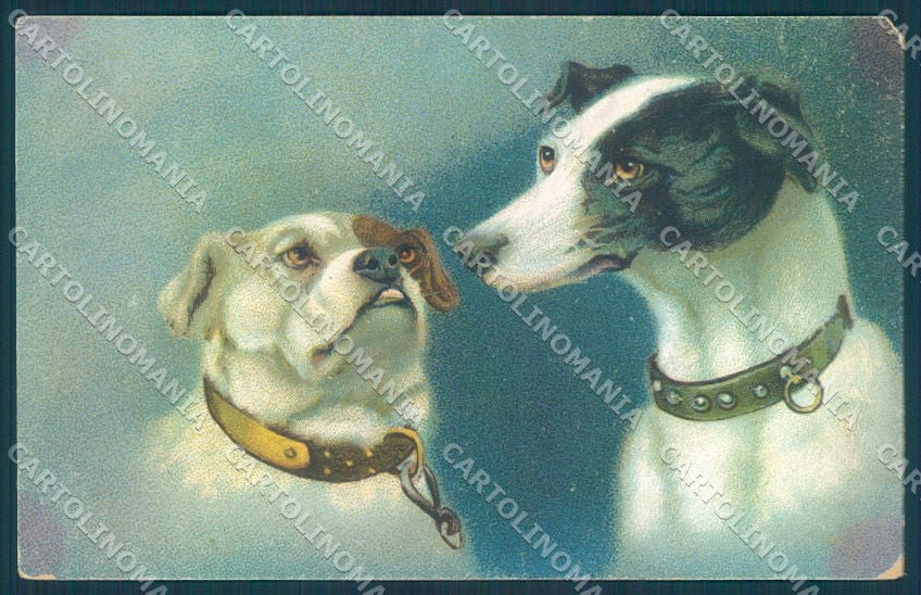 Animals Dog Greyhound English Bulldog serie 942 cartolina postcard TW1069 – fronte