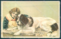 Animals Dog Saint Bernard Child serie Blanca 1819 Relief postcard TW1073 – fronte
