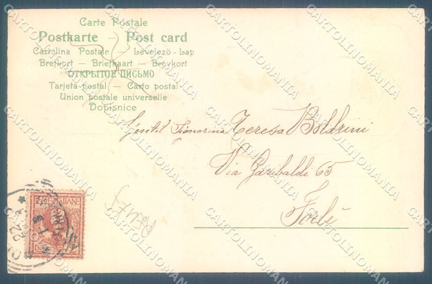 Animals Dog Saint Bernard Child serie Blanca 1819 Relief postcard TW1073 – retro
