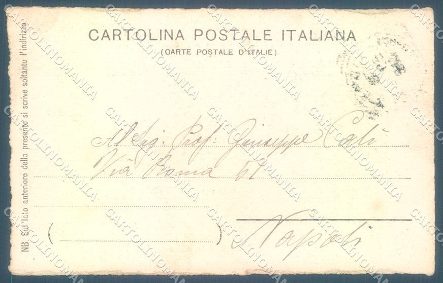 Animals Dog Hunting Puppies Bracco ? cartolina postcard TW1075 – retro