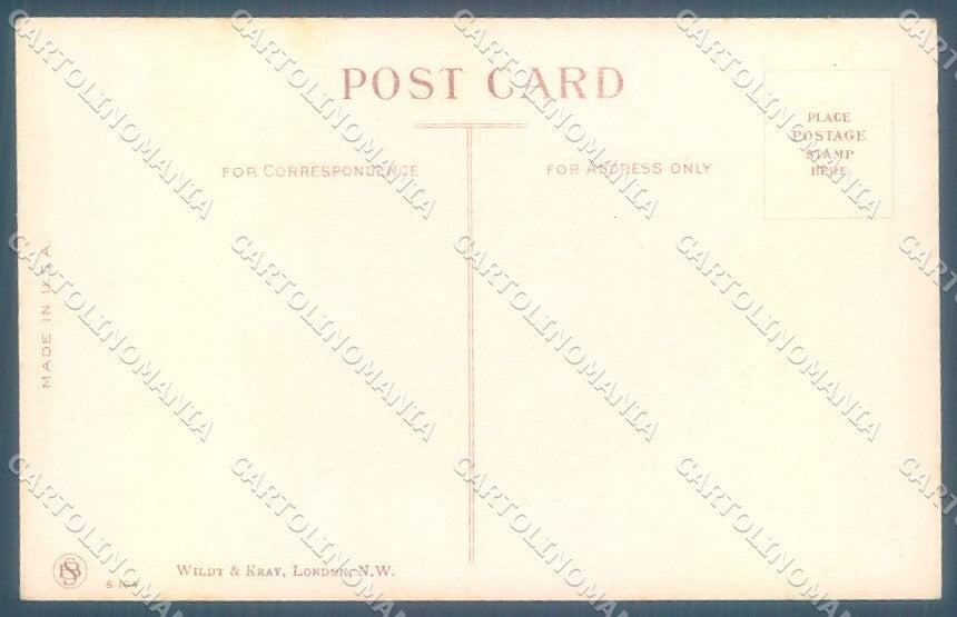 Animals Dog Puppy Child Boy Wildt Kray 104 cartolina postcard TW1077 – retro