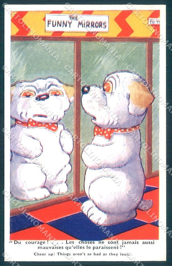 Animals Dog Comic serie 45 cartolina postcard TW1083 – fronte
