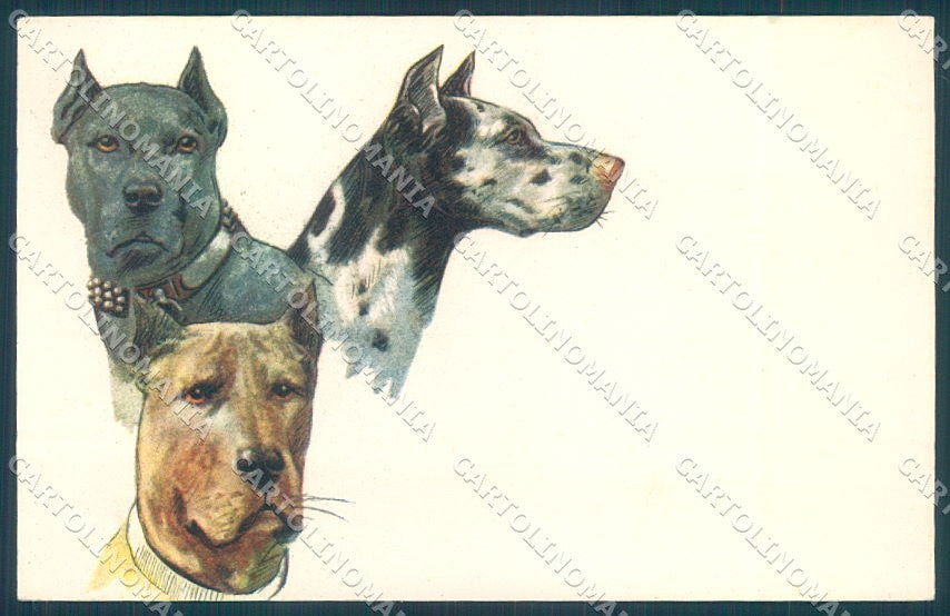 Animals Corbella ? Great Dane Dog Degami 658 cartolina postcard TW1095 – fronte
