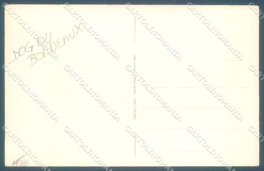 Animals Corbella ? Dog du Bordeaux Degami 659 cartolina postcard TW1097 – retro