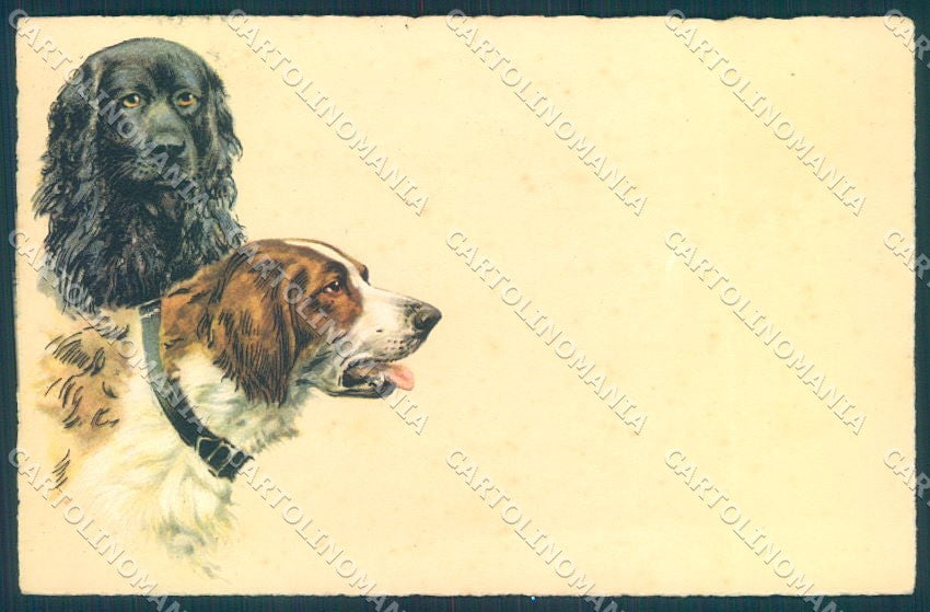 Animals Corbella ? Dog Newfoundland Degami cartolina postcard TW1098 – fronte