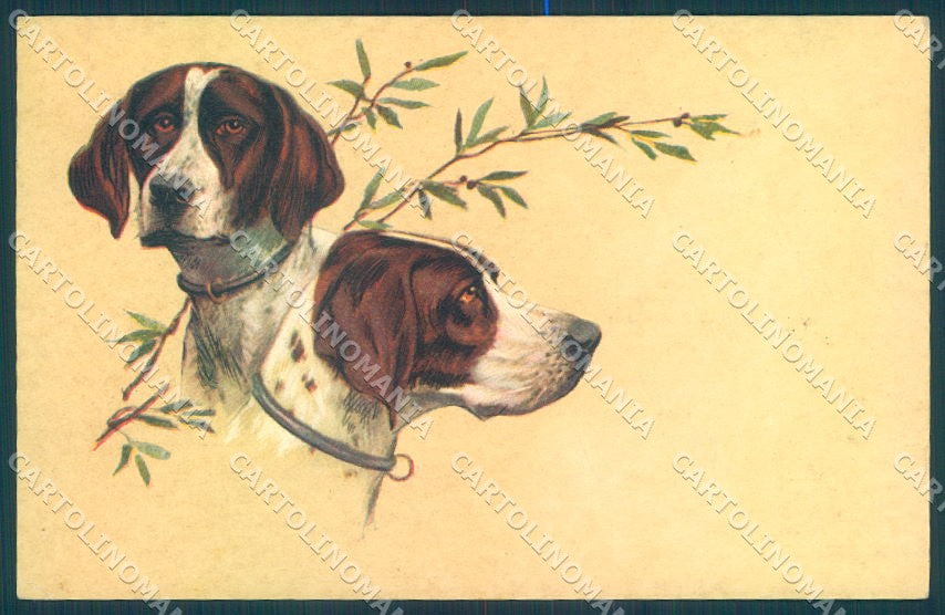 Animals Corbella ? Pointer Dog Hunting Degami 657 cartolina postcard TW1099 – fronte