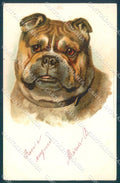 Animals English Bulldog CORNER CREASE cartolina postcard TW1107 – fronte