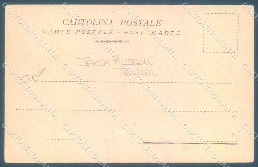 Animals Dog Jack Russell Terrier PIN HOLE cartolina postcard TW1113 – retro