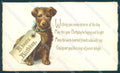Animals Terrier Dog Birthday Card cartolina postcard TW1114 – fronte