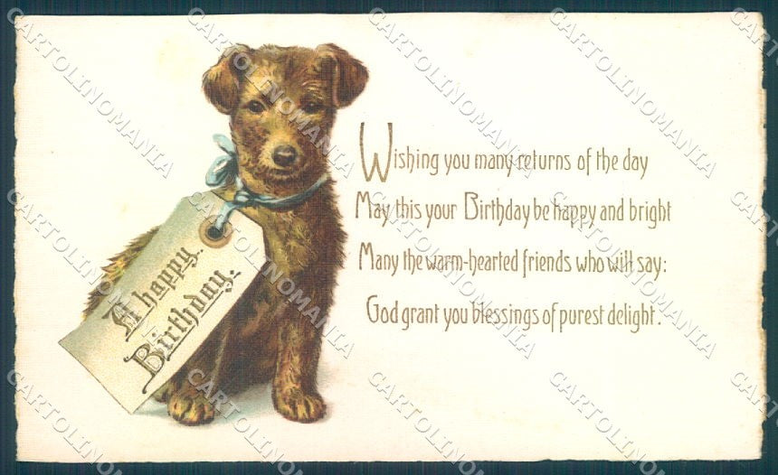 Animals Terrier Dog Birthday Card cartolina postcard TW1114 – fronte