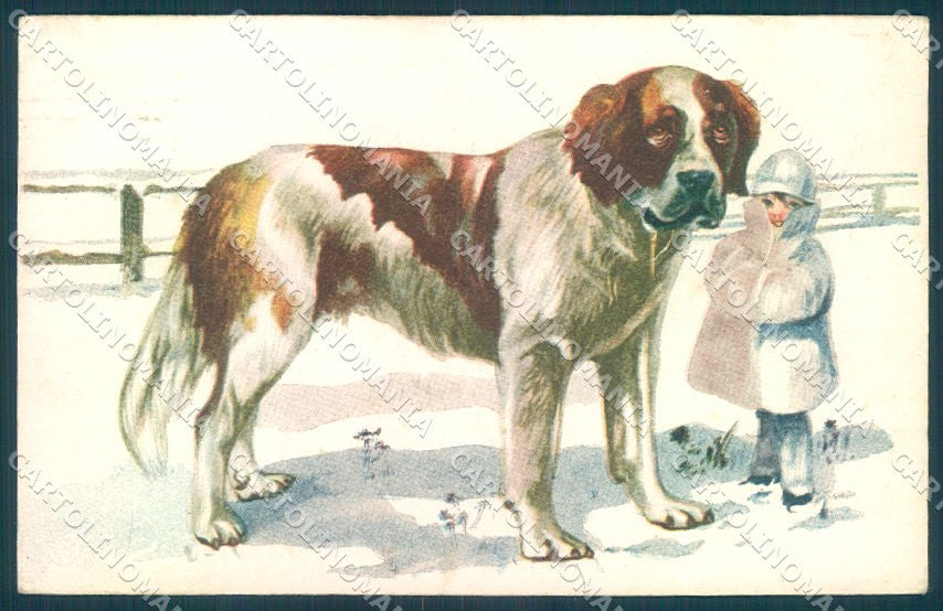 Animals Saint Bernard Dog Child serie 462 cartolina postcard TW1116 – fronte