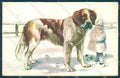 Animals Saint Bernard Dog Child serie 462 cartolina postcard TW1116 – fronte