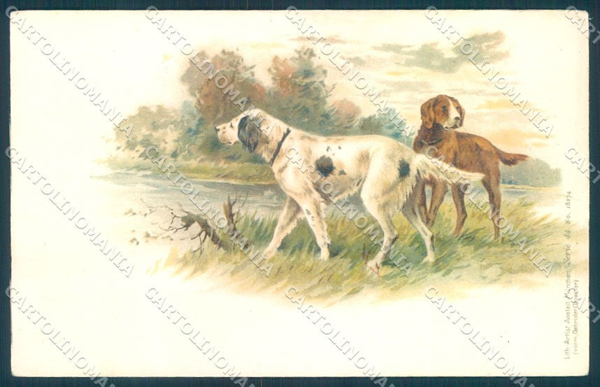 Animals Dog Hunting Setter serie 18274 ABRADED cartolina postcard TW1117 – fronte