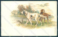 Animals Dog Hunting Setter serie 18274 ABRADED cartolina postcard TW1117 – fronte