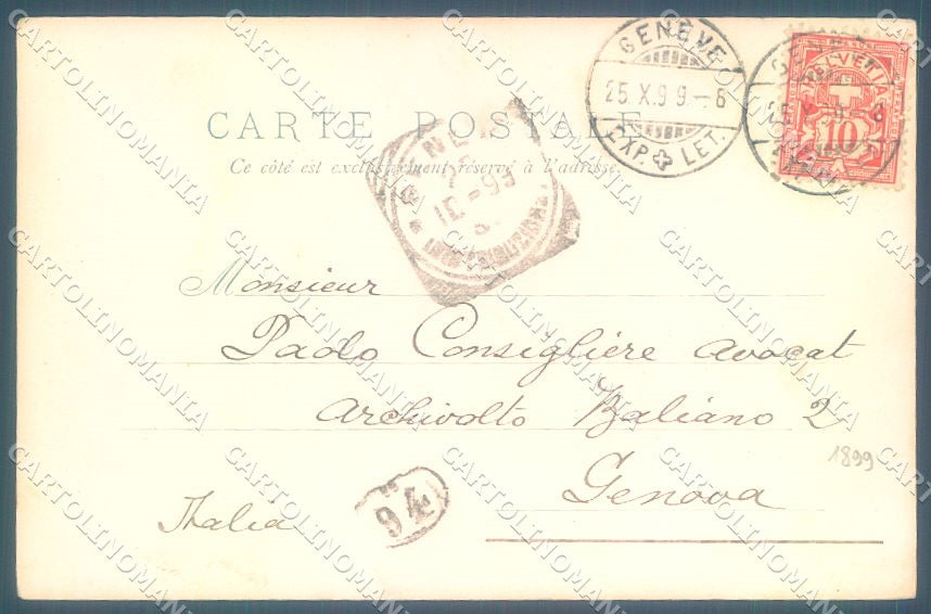 Animals Dog Comic Year 1899 cartolina postcard TW1125 – retro