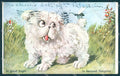 Animals Dog Comic WSSB 1313 cartolina postcard TW1128 – fronte
