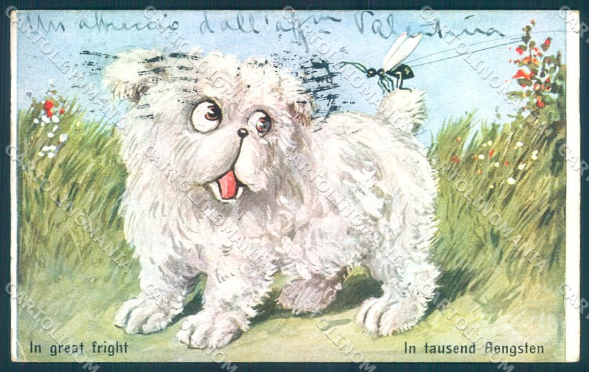 Animals Dog Comic WSSB 1313 cartolina postcard TW1128 – fronte