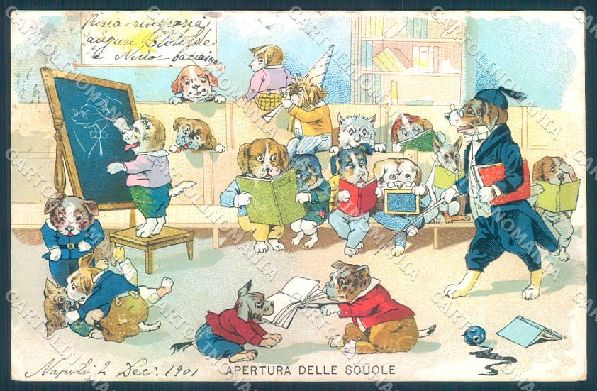 Animals Dog Dressed School cartolina postcard TW1129 – fronte