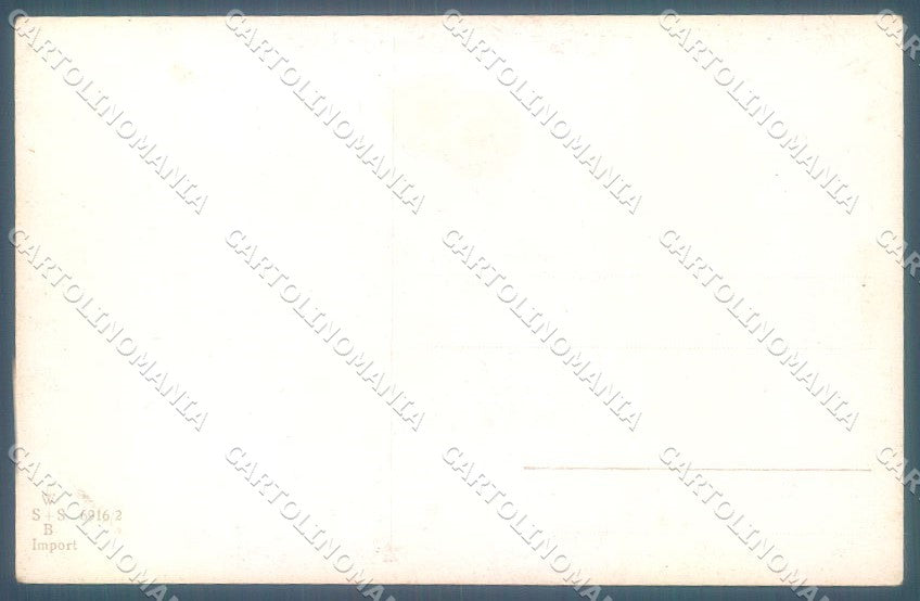 Animals Austrian Hound Dog Fox Muller WSSB 6916-2 CORNER CREASE postcard TW1134 – retro