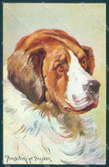 Animals Donadini Jr Saint Bernard Dog Peluba 235 cartolina postcard TW1142 – fronte