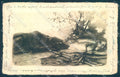 Animals Austrian Hound Dog Hunting Hare cartolina postcard TW1143 – fronte