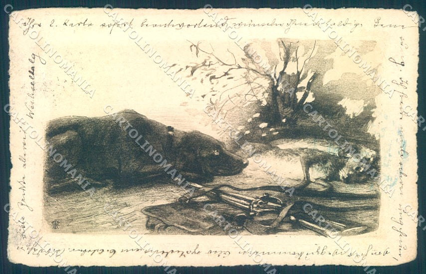 Animals Austrian Hound Dog Hunting Hare cartolina postcard TW1143 – fronte