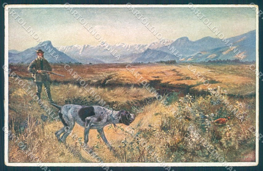 Animals Singer Dog Setter Hunting Pheasant Theo Stroefer 124 postcard TW1145 – fronte
