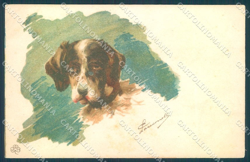 Animals Dog German Spaniel GCC cartolina postcard TW1146 – fronte