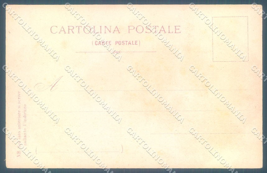Animals Dog German Spaniel GCC cartolina postcard TW1146 – retro