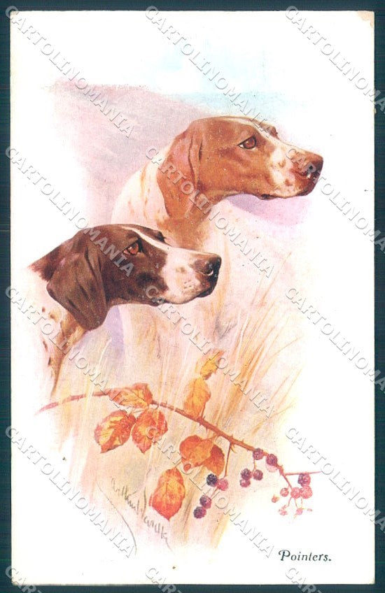 Animals Arthur Wardle Pointer Dog serie 42316 cartolina postcard TW1150 – fronte