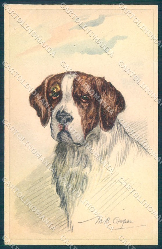 Animals MB Cooper Saint Bernard Dog serie 1163 cartolina postcard TW1152 – fronte