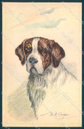 Animals MB Cooper Saint Bernard Dog serie 1163 cartolina postcard TW1152 – fronte