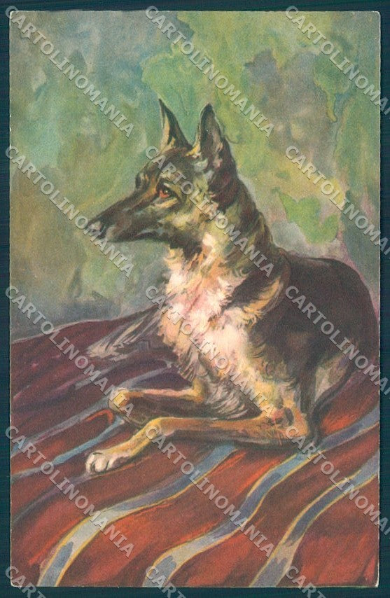 Animals Dog German Shepherd Professor Lenci Degami 51 cartolina postcard TW1182 – fronte