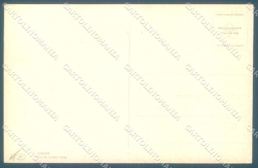 Animals Dog Collie Professor Lenci Degami 50 cartolina postcard TW1183 – retro