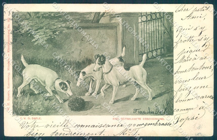 Animals Daele Dog Fox Terrier serie 132 cartolina postcard TW1190 – fronte
