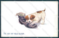 Animals Dog Puppy London serie 3527 cartolina postcard TW1191 – fronte