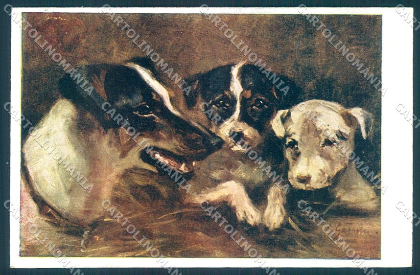 Animals Dog Fox Terrier BKWI 367-2 cartolina postcard TW1195 – fronte