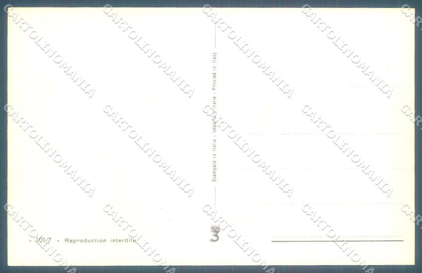 Animals Norfini Dog Setter Hunting serie 101-7 cartolina postcard TW1198 – retro