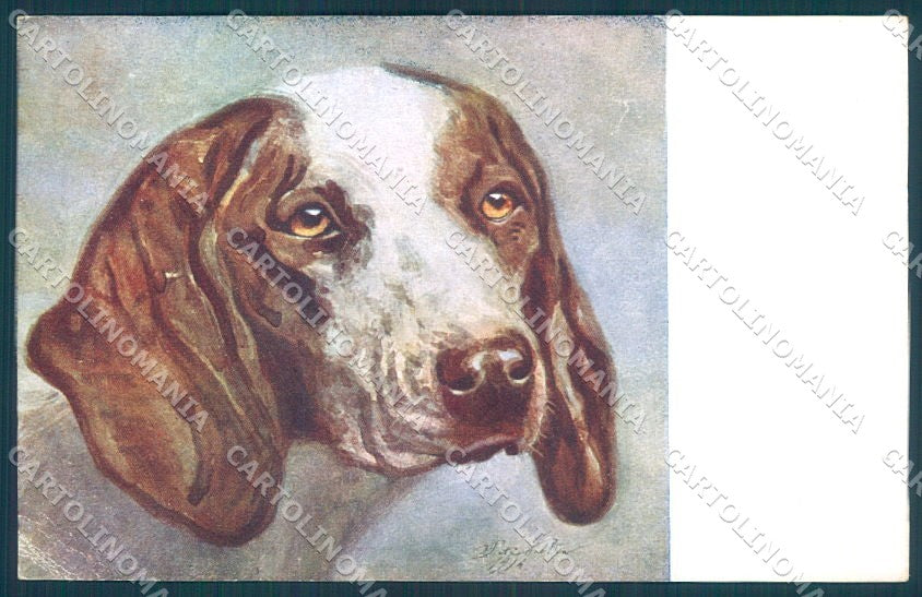 Animals Pietro Pietra Dog Bracco CORNER CREASE cartolina postcard TW1213 – fronte