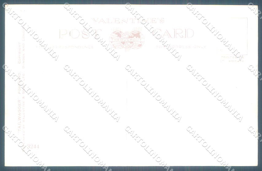 Animals Mac Fox Terrier Valentines serie 3244 cartolina postcard TW1217 – retro